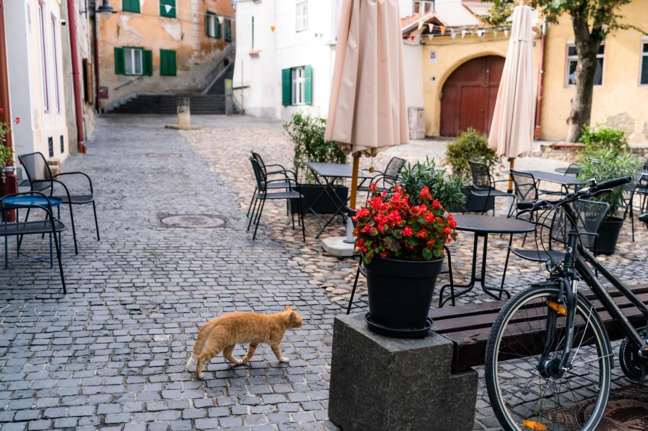 Charming Studio Ideal For Getaways Or Workations In Sibiu'S Medieval City Center Bagian luar foto